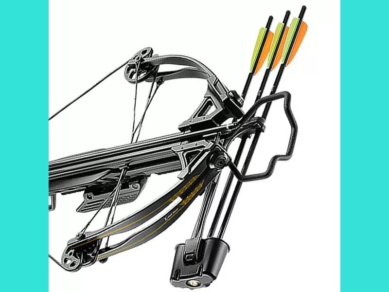 Арбалет cub 1. Блочный лук hoyt. Блочный лук hunter pro. Лонгбоу лук. Луком интернет.