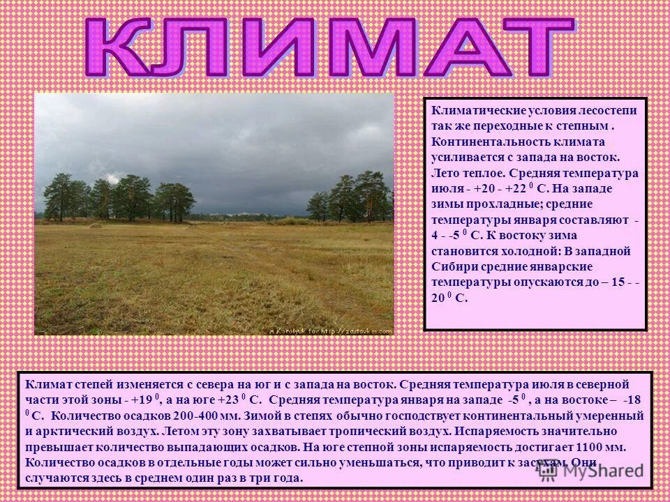 13 климатических условий. климатические пояса и типы климата мира. зона лесостепи климат. что такое климатический пояс в географии. карта климатических поясов земли по б.