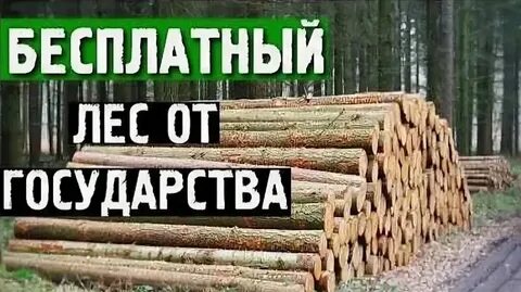 Бесплатный лес на строительство дома закон