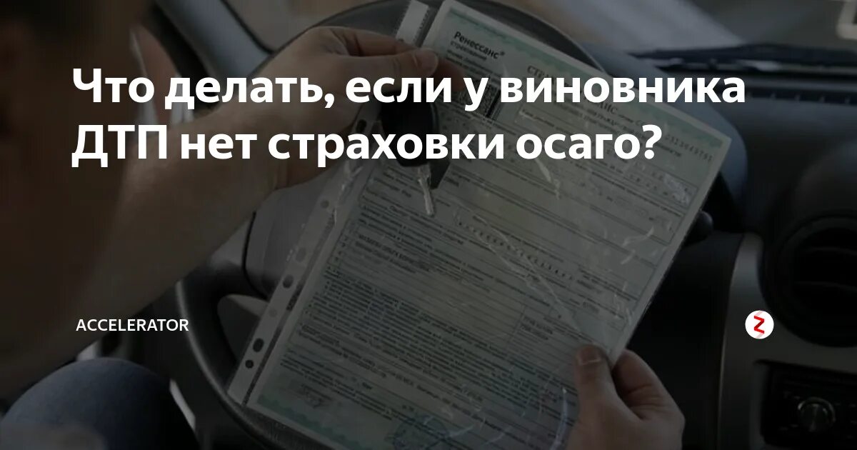 Нет полиса ОСАГО У виновника. Если у виновника ДТП нет ОСАГО. У виновника ДТП нет страховки что делать. Виновник ДТП без ОСАГО.