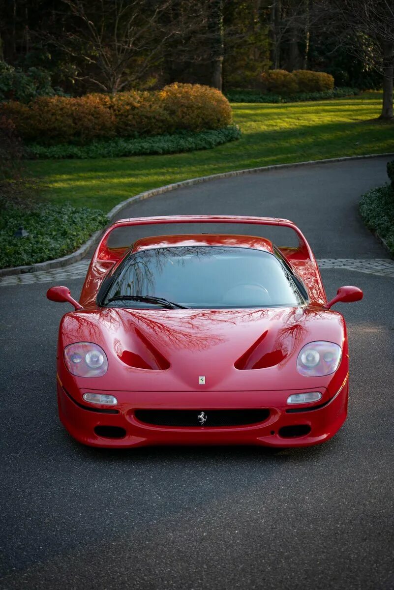 Ferrari f50. Феррари f141. Ferrari f50 Macao. Ferrari f50 1995. Покажи машину авто