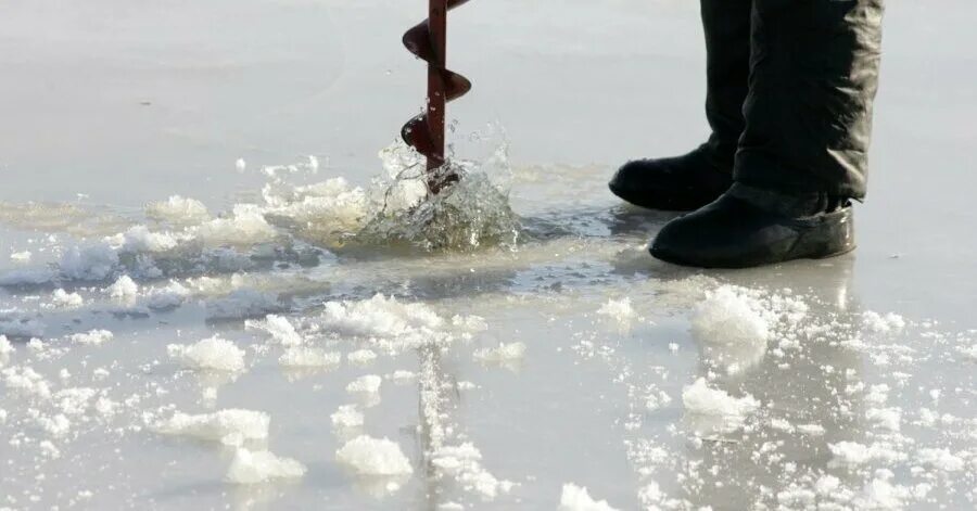 Все взморье утопает в свежем снегу