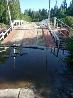 Погода оньмесь