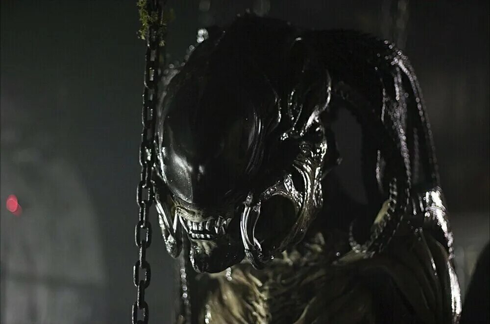 Aliens vs predator requiem. Чужие против хищника Реквием 2007. Чужой против хищника 2007. Чужой против хищника предалиен.