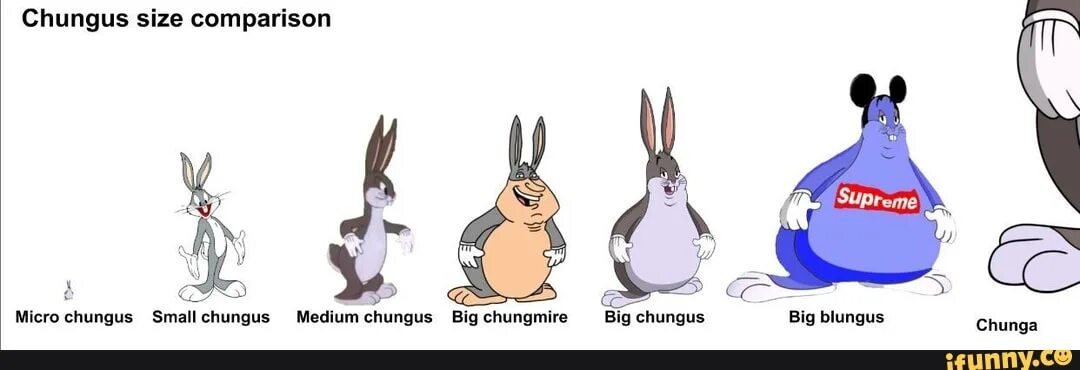 Big chungus. Big chungus Мем. Биг Биг чангус.... Big chungus isn't funny. Isn t funny