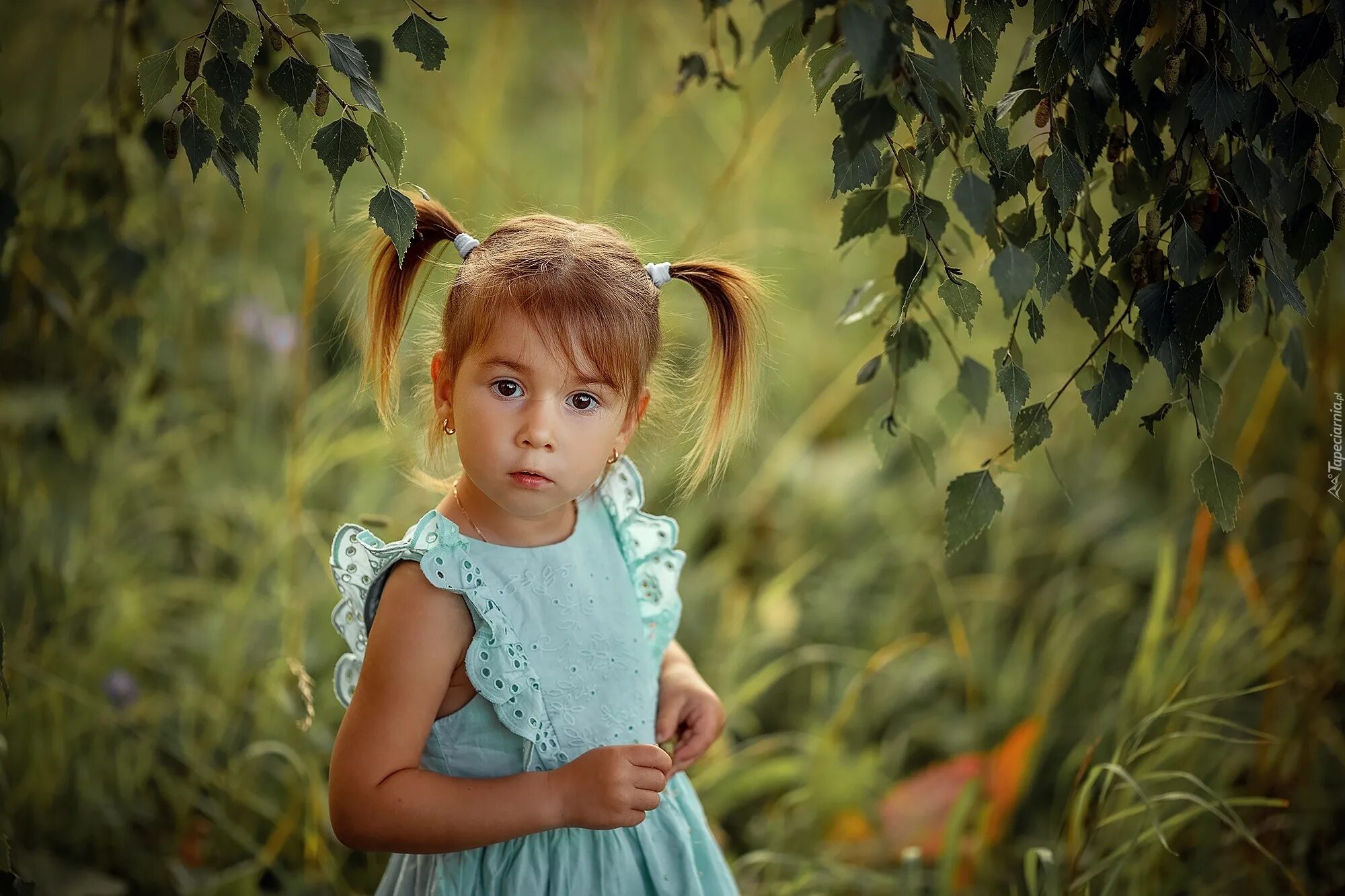 Маленькая девочка с хвостиками. Харли квинн хвостики. Парик харли квин парик харли квин. Турецкая девочка с хвостиками. Хвостики пальмочки.