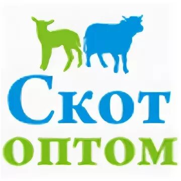 Оптом 40