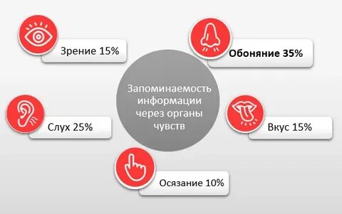Нравится 33