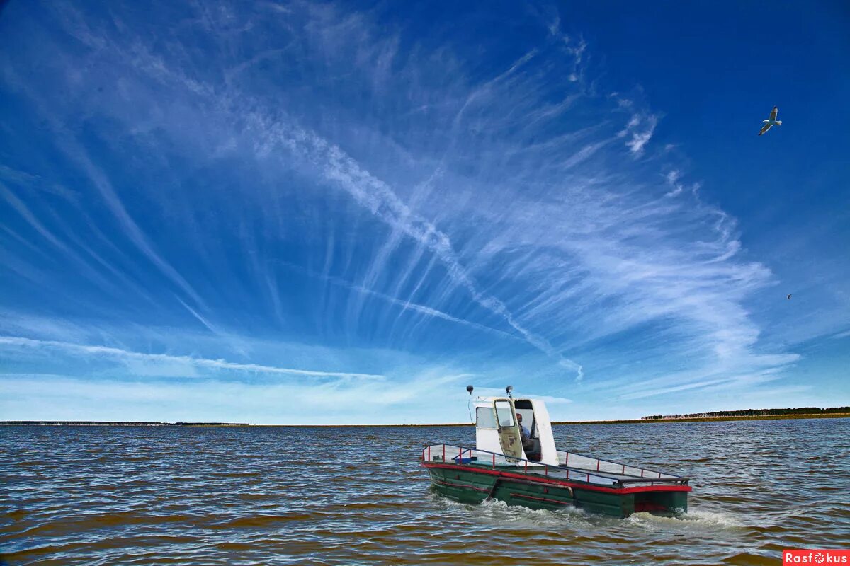 крутинский р омской обл. крутинский р омской обл. озеро ик в крутинке омской области. крутинка. крутинский р омской обл.
