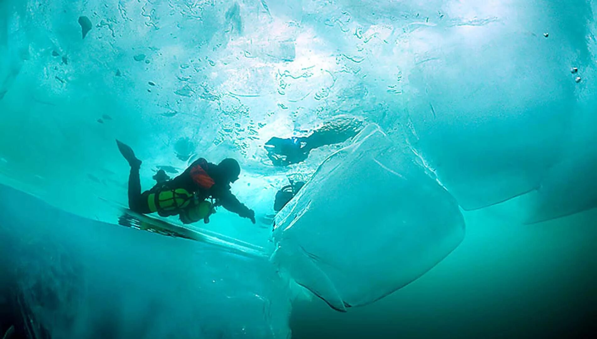 саргассово море водоросли. виды подо. из подо льда. виды подо. река под водой.