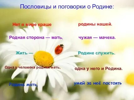 Найти пословицы на тему любовь