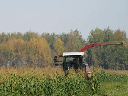 Погода в лотошинском районе московской