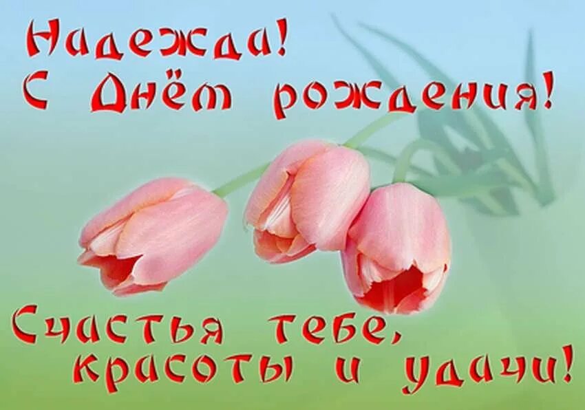 Поздравления с днём рождения надежде прикольные. Поздравления с днём рождения надежде прикольные. Надюха с днюхой прикольные открытки. С днём рождения надюха прикольные поздравления. Наденька с днем рождения.