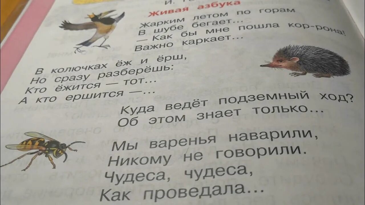 Е в григорьева живая азбука. Стихотворение Гамазковой Живая Азбука. Живая Азбука 1 класс литературное чтение Гамазкова. Живая Азбука Гамазкова Григорьева. Живая Азбука стихотворение Гамазкова Григорьева.