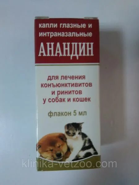Интраназальные капли. Анандин капли глазные. анандин капли интерназальные. интраназальные капли для кошек. анандин для кошек капли глазные.