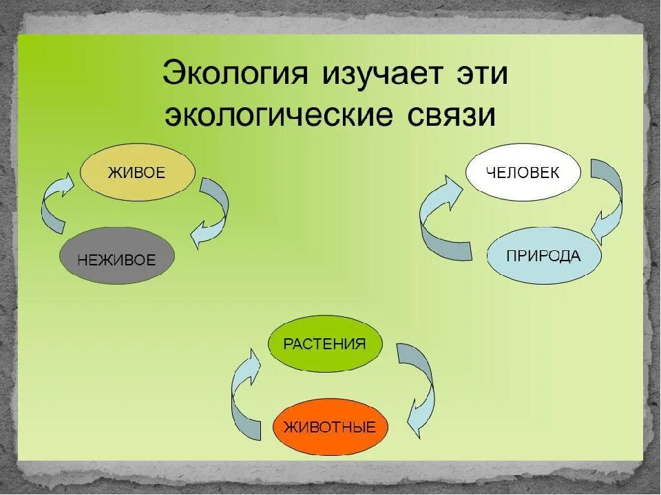 Экология это 3 класс. Экология презентация 3 класс. Темы для презентации окружающий мир. Экологическая связь человек природа.