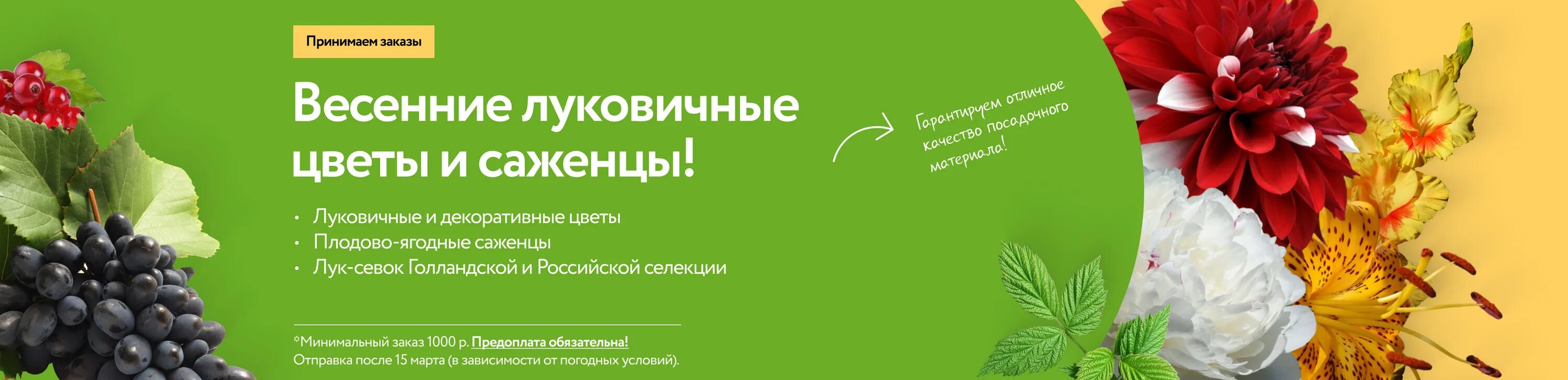 Интернет-магазин семян и растений. Семена сад /агрохолдинг. Магазин семян интернет магазин. Саженцы в красочной упаковке. Питомник долина роз в смоленске п миловидово каталог.
