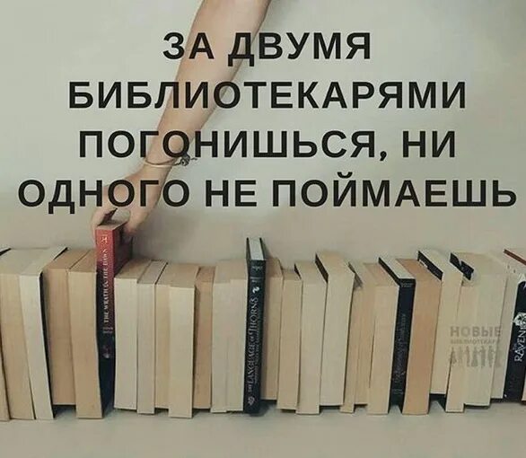 Книги которые на цитаты. Смешные цитаты про библиотеку. высказывания о библиотекарях. смешные фразы про библиотеку.