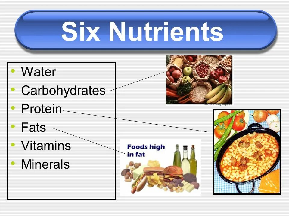 Protein minerals vitamins. Proteins fats carbohydrates. Proteins fats carbohydrates Vitamins. Carbohydrates Protein fat Fibre Vitamins Minerals. Carbohydrates продукты на английском.