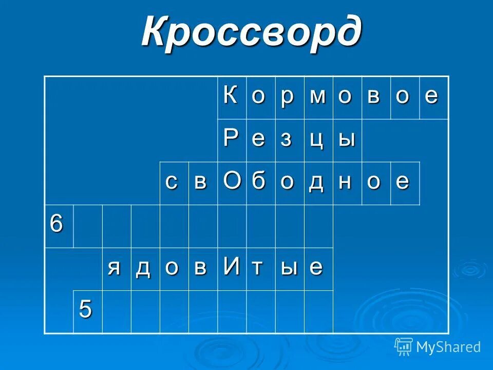 Остров 3 сканворд. Кроссворд на тему резец. Кроссворд по теме волокна. Кроссворд на тему парикмахер. Кроссворд на тему животноводство.