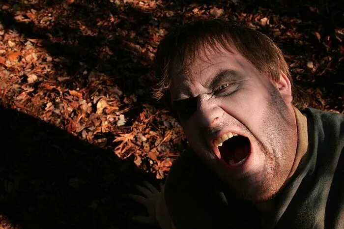 Какие люди самые злые. Стаффордширский терьер булли. Американский питбультерьер опасная собака. Собака питбуль злой. Американский питбультерьер опасная собака.