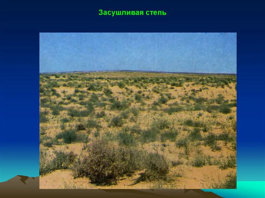 Занимает территории с засушливым климатом. Зона полупустынь России. Пустыни и полупустыни России климат. Климат полупустынь в России. Полупустыни и пустыни Астрахань.