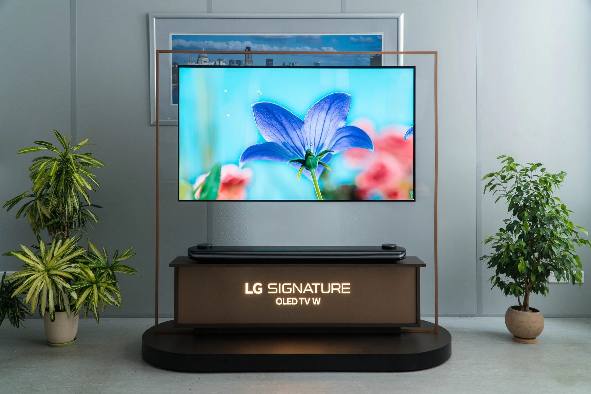 Купить телевизор 38. LG OLED w8. LG Signature OLED. LG Signature OLED TV R. LG сигнатур телевизор.