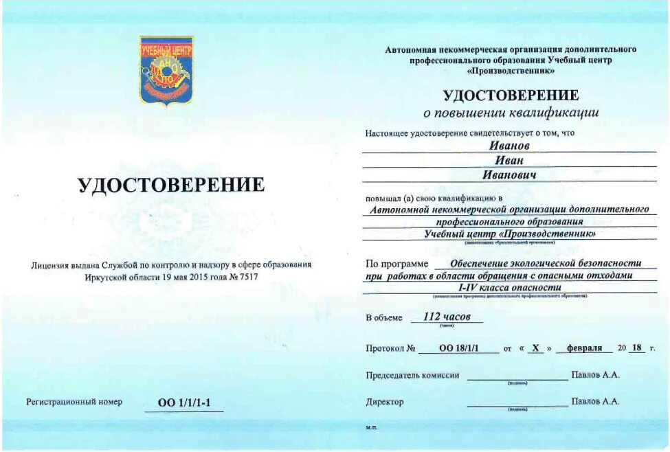 Программа профессионального образования образец