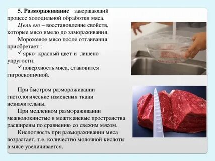 Можно заморозить вареную говядину