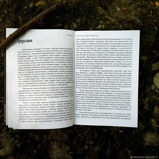 Северный ветер книга
