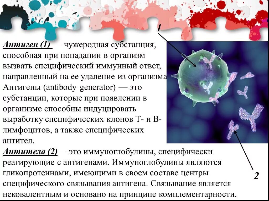 После попадания в организм. Попадание в организм антигена вызывает:. Чужеродные антигены. Антигены - вызывает иммунный ответ.. При попадании в организм чужеродных ему антигенов.