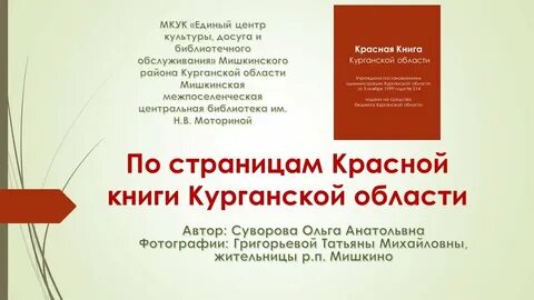 Книга курганская область