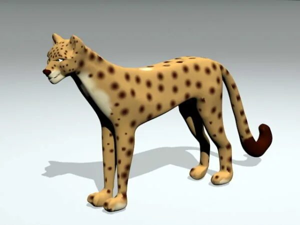 Leopard max