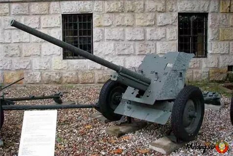 40 пятка