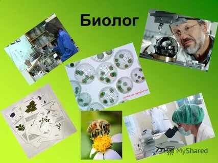 Биологи картинка