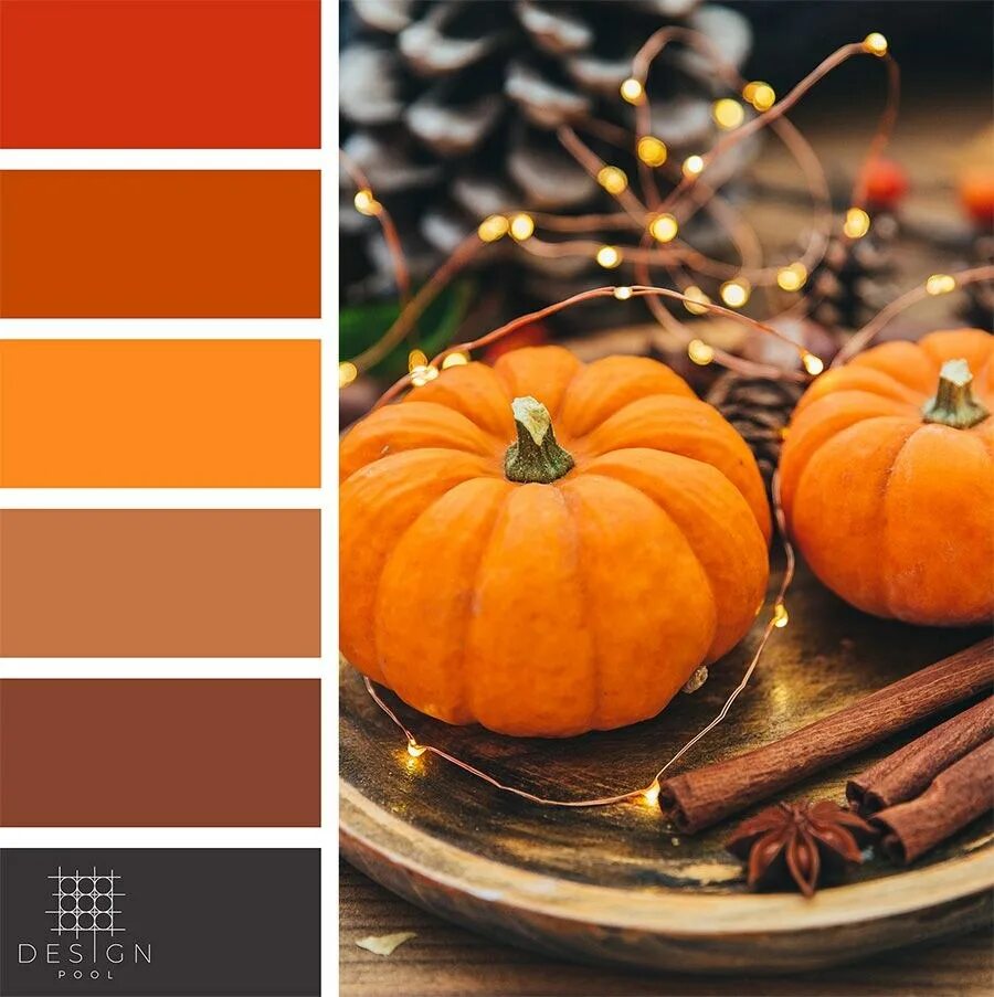 Разновидности оранжевого цвета. Сочетание с оранжевым цветом. Оранжевые цвета названия. Темно оранжевый какой цвет. Оранжево-коричневый цвет.