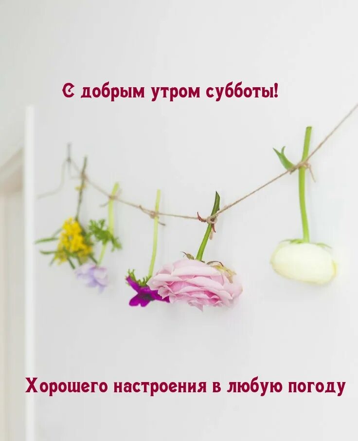 Екатеринбург on Viber