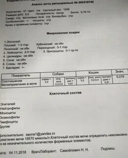 Креатинин в моче кота