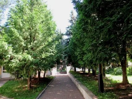 Косинская 3 диспансер