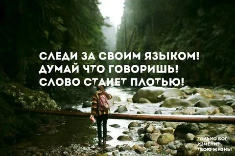 Статусы следит