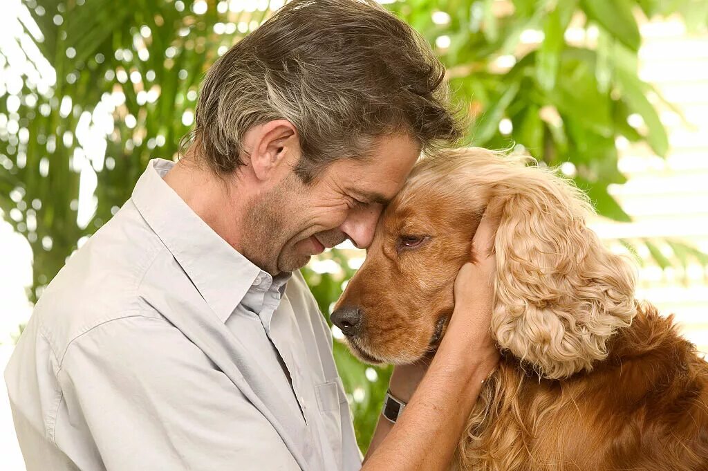 Собака друг человека. Человек с собакой. Животные друзья человека. Любовь собаки к человеку.