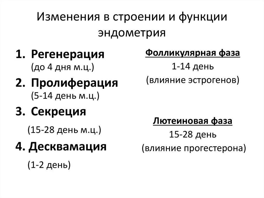 Эндометрий норма по дням цикла таблица Изменения эндометрия