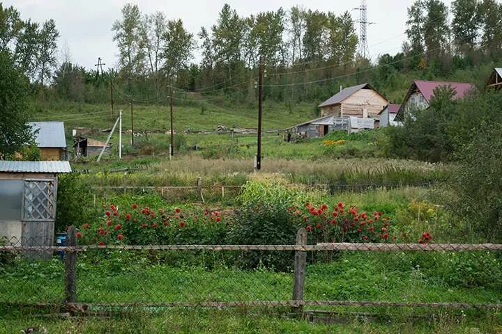 Погода советское алтайский на неделю. Советское Алтайский край. Село советское Алтайский край. Советское Алтайский.