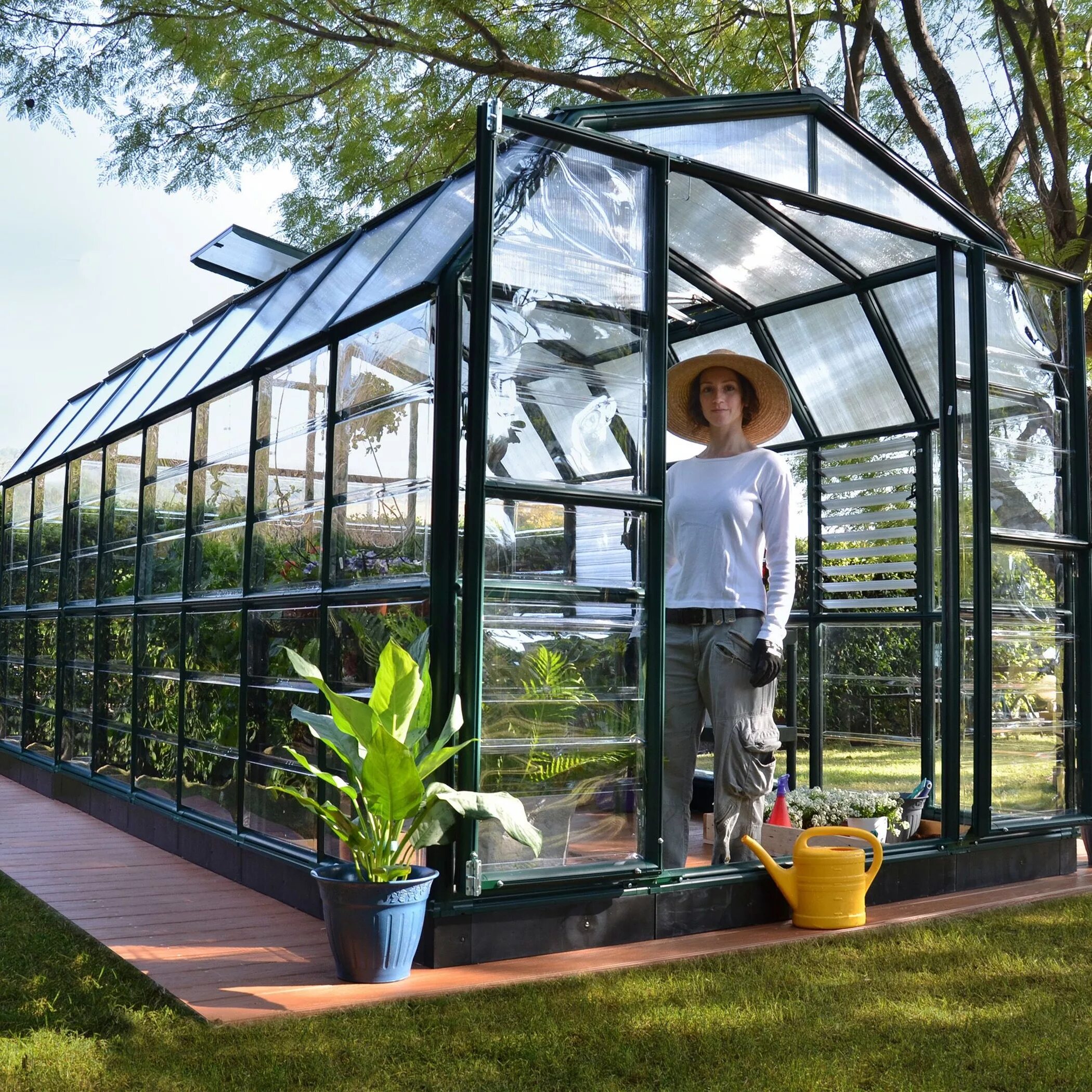 Теплиц каким раствором. Теплица Greenhouse. Теплица Анны Эдеи. Тплицы Green House Greenhouse теплицы. S385 оранжерея.