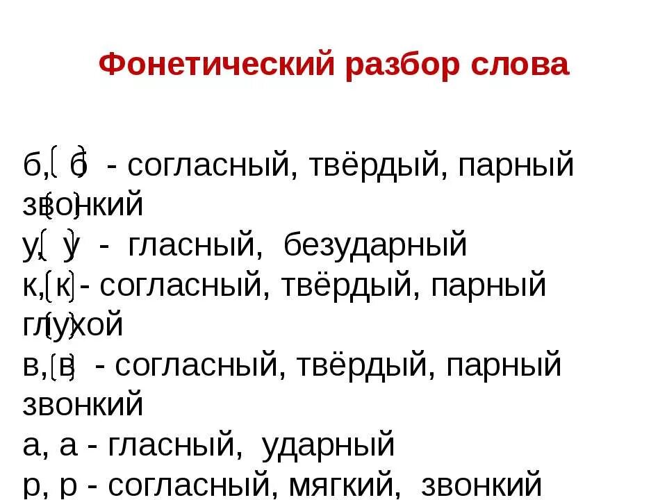 Фонетический разбор. Фонетический анализ. Ветки фонетический разбор. Фонетический разбор правила разбора.