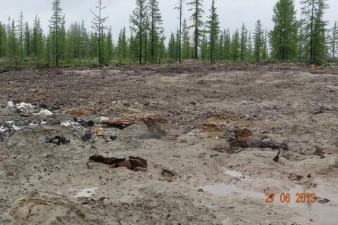Рекультивация после добычи полезных ископаемых
