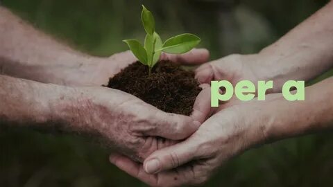 Save the environment and eat organic