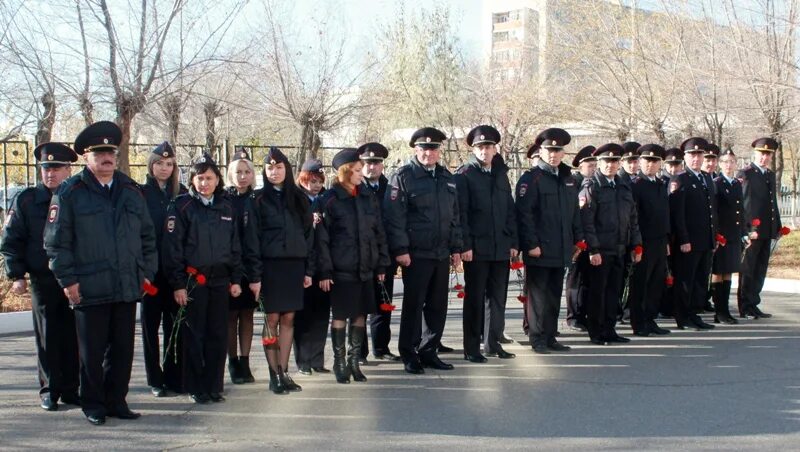 Почта умвд. Почта умвд