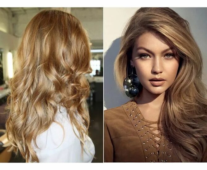 Mane Interest Gold blonde hair, Honey hair, Honey hair color