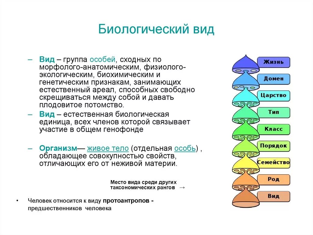 Биологический вид. Вид это в биологии. Понятие вид в биологии. Тип (биология). Биология термин вид
